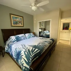 Beautiful In Tampa-a Apartment Tampa